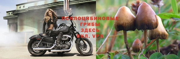 марки nbome Баксан