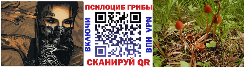 Псилоцибиновые грибы MAGIC MUSHROOMS сколько стоит Ува